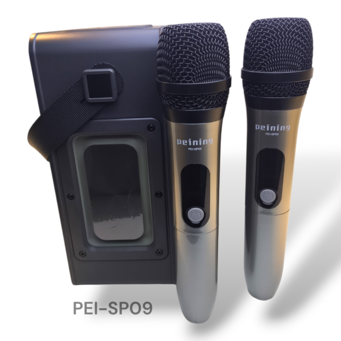 CAIXA DE SOM PEINING COM KARAOKÊ 150W C RGB - Imagem 3